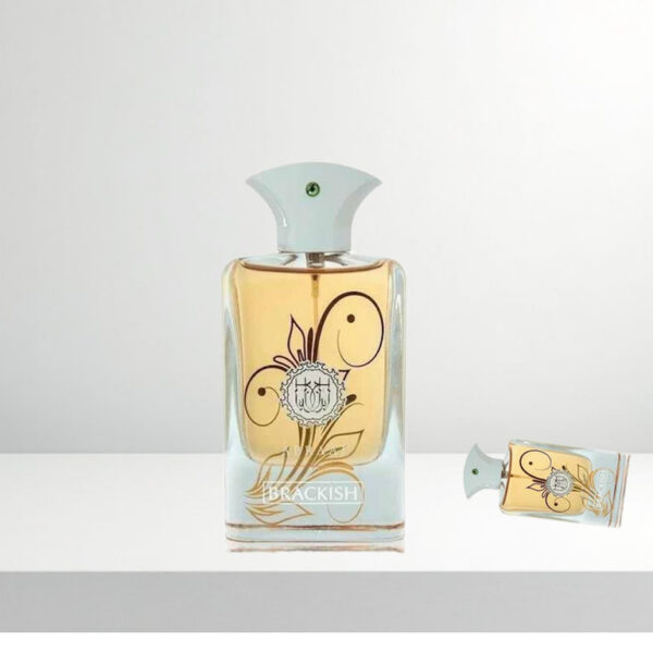 Abraaj Brackish / Eau De Parfum của FA Paris-Chuyên tinh dau nuoc hoa Dubai - MP Dubai HCM - Bac Lieu https://chuyentinhdaunuochoadubai.com/